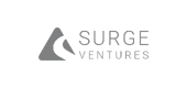Surge Ventures